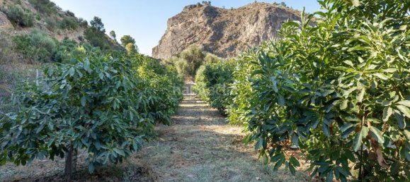 Grundstück in Granada, Spain 82000m², Nr. 161616 29