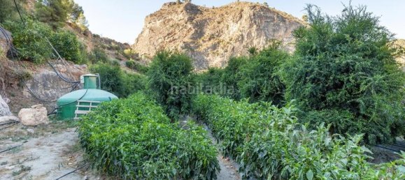 Grundstück in Granada, Spain 82000m², Nr. 161616 11