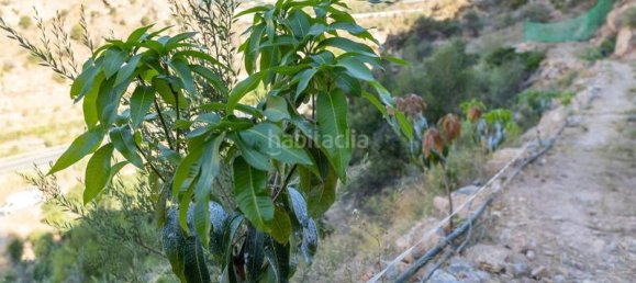 Grundstück in Granada, Spain 82000m², Nr. 161616 26