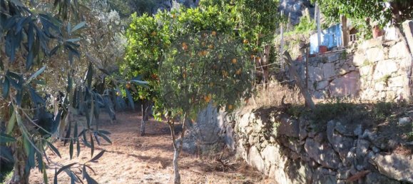 3 chambres Maison à Lourical do Campo, Portugal No. 175896 24