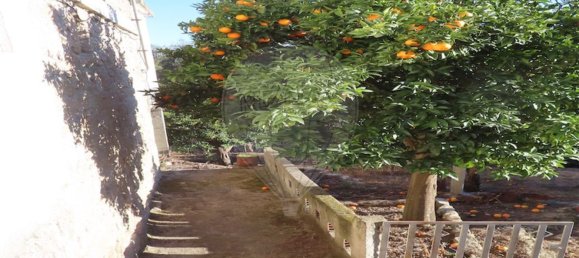 3 chambres Maison à Lourical do Campo, Portugal No. 175896 39