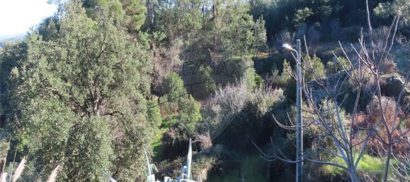 3 chambres Maison à Lourical do Campo, Portugal No. 175896 31