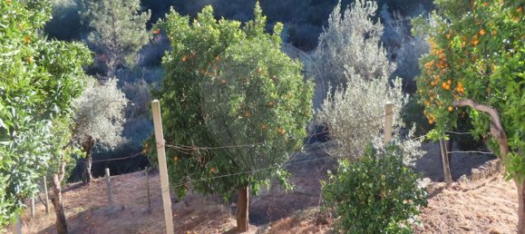 3 chambres Maison à Lourical do Campo, Portugal No. 175896 35