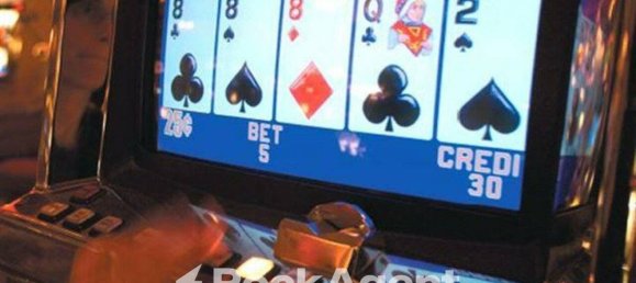 2 rooms Commercial property in Piove di Sacco, Italy No. 264674 11