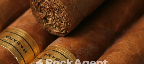 2 rooms Commercial property in Piove di Sacco, Italy No. 264674 3