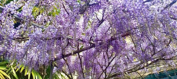 6 rooms House in Casier, Italy No. 293956 8