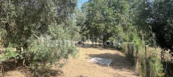 1 Schlafzimmer Villa in Palestrina, Italy, Nr. 350589 44