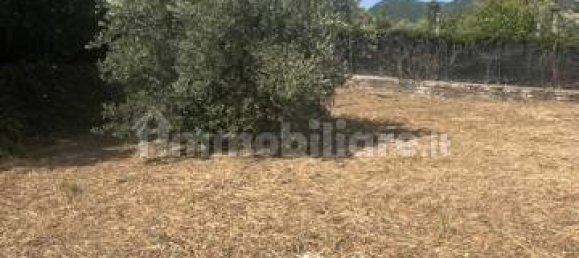 1 Schlafzimmer Villa in Palestrina, Italy, Nr. 350589 35