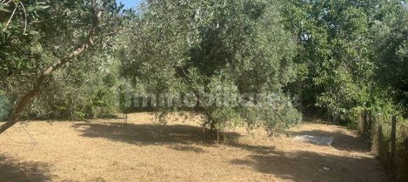 1 Schlafzimmer Villa in Palestrina, Italy, Nr. 350589 49