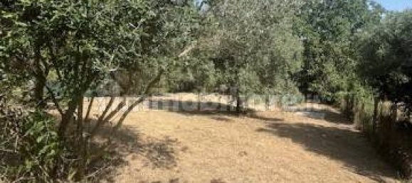 1 Schlafzimmer Villa in Palestrina, Italy, Nr. 350589 41