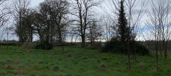 3 bedrooms House in Tilly, France No. 90831 13