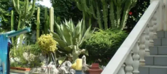 4 Schlafzimmer Haus in Alicante, Spain, Nr. 135760 3