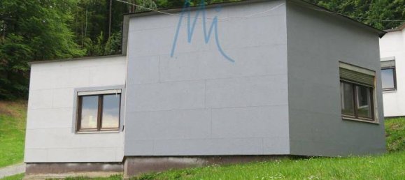 Gewerbliche Immobilie in Hermagor-Pressegger See, Austria, Nr. 31392 10