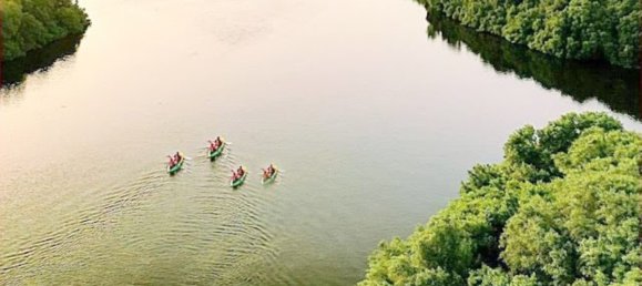 4 bedrooms Townhouse in Al Zorah, UAE No. 104993 22