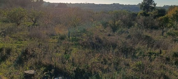 Terreno en Silves, Portugal No. 189969 14
