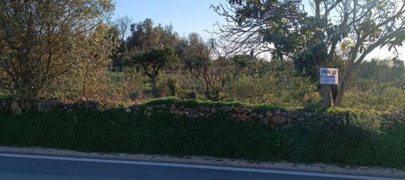 Terreno en Silves, Portugal No. 189969 17