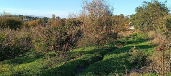 Terreno en Silves, Portugal No. 189969 5