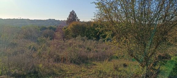 Terreno en Silves, Portugal No. 189969 13