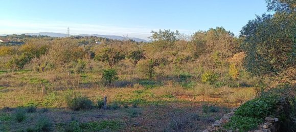 Terreno en Silves, Portugal No. 189969 3