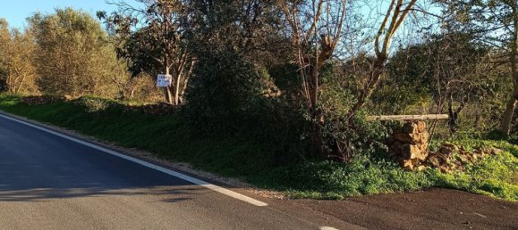 Terreno en Silves, Portugal No. 189969 18