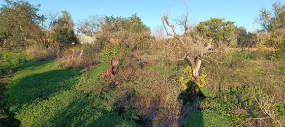 Terreno en Silves, Portugal No. 189969 7