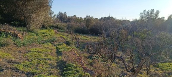 Terreno en Silves, Portugal No. 189969 6