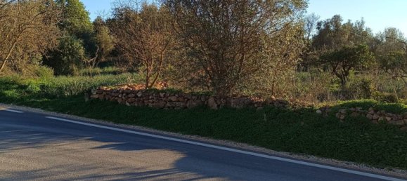 Terreno en Silves, Portugal No. 189969 19