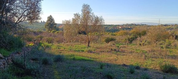Terreno en Silves, Portugal No. 189969 2