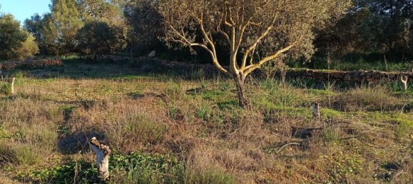 Terreno en Silves, Portugal No. 189969 9