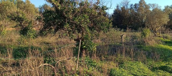 Terreno en Silves, Portugal No. 189969 11