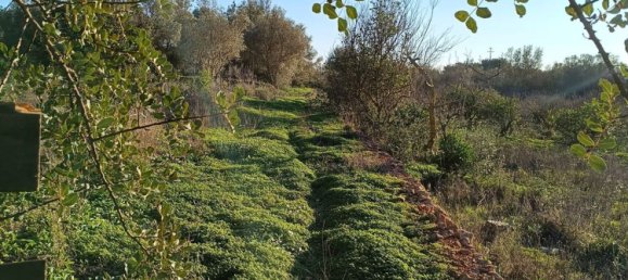 Terreno en Silves, Portugal No. 189969 12