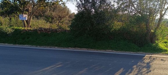 Terreno en Silves, Portugal No. 189969 16