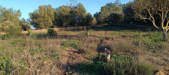 Terreno en Silves, Portugal No. 189969 10