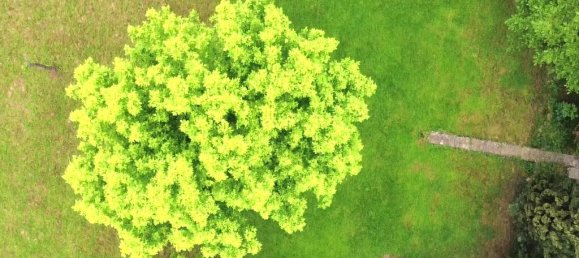 Terreno em Montichiari, Italy 1500 m² N.º 303476 5