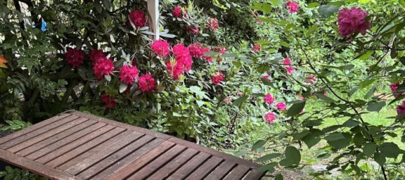 4 rooms Bungalow in Wandsbek, Germany No. 233466 2