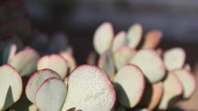 5 bedrooms House in Empuriabrava, Spain No. 84539