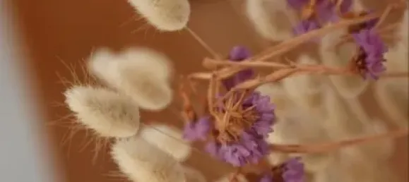 5 bedrooms House in Empuriabrava, Spain No. 84539 4