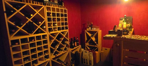 Дом с 4 спальнями в Клоштернойбург, Австрия № 231904 29