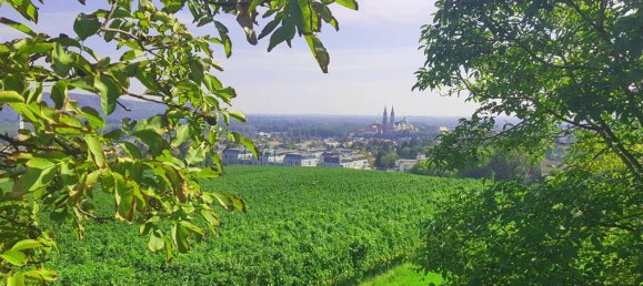 Дом с 4 спальнями в Клоштернойбург, Австрия № 231904 35