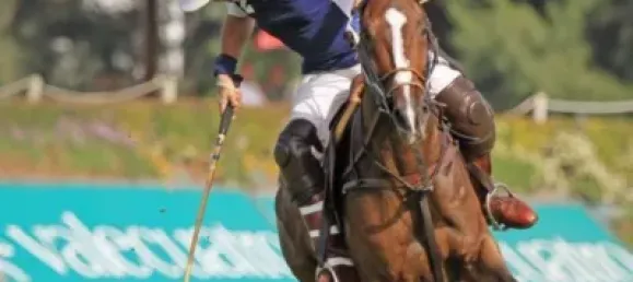 4 bedrooms House in Cadiz, Spain No. 143033 43