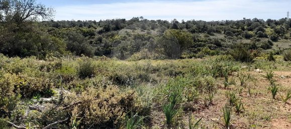 2 غرف نوم منزل في Paderne, Portugal رقم 27317 24