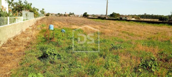 Terreno em Marinhais, Portugal 5240 m² N.º 157697 4