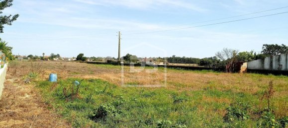 Terreno em Marinhais, Portugal 5240 m² N.º 157697 3