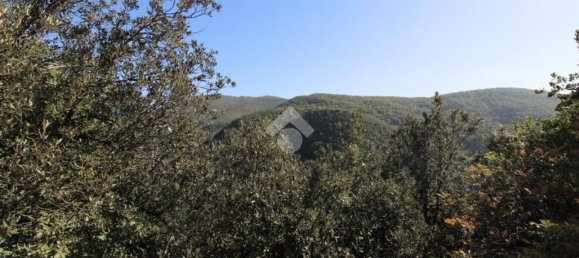 Villa de 6 habitaciónes en Poggio Catino, Italy No. 145897 20