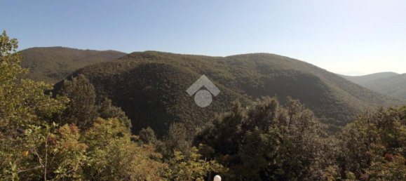 Villa de 6 habitaciónes en Poggio Catino, Italy No. 145897 11