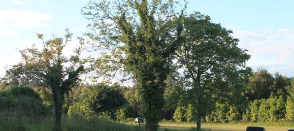 Terreno em A Coruna, Spain 20000 m² N.º 171993 18