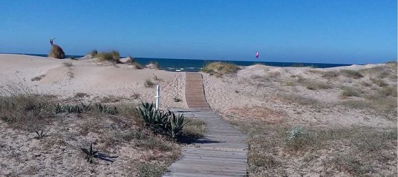 5 غرف نوم فيلا في Oliva, Spain رقم 2510 26