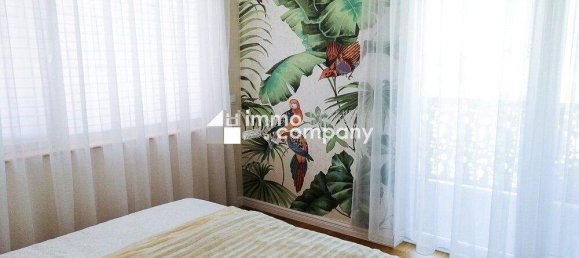 6 rooms Townhouse in Mannersdorf am Leithagebirge, Austria No. 241171 3