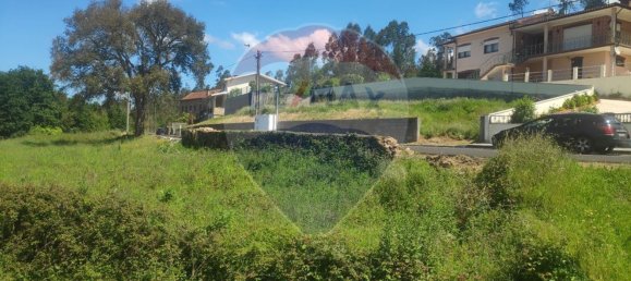 Terreno em Ribeira de Fráguas, Portugal 1450 m² N.º 74508 3