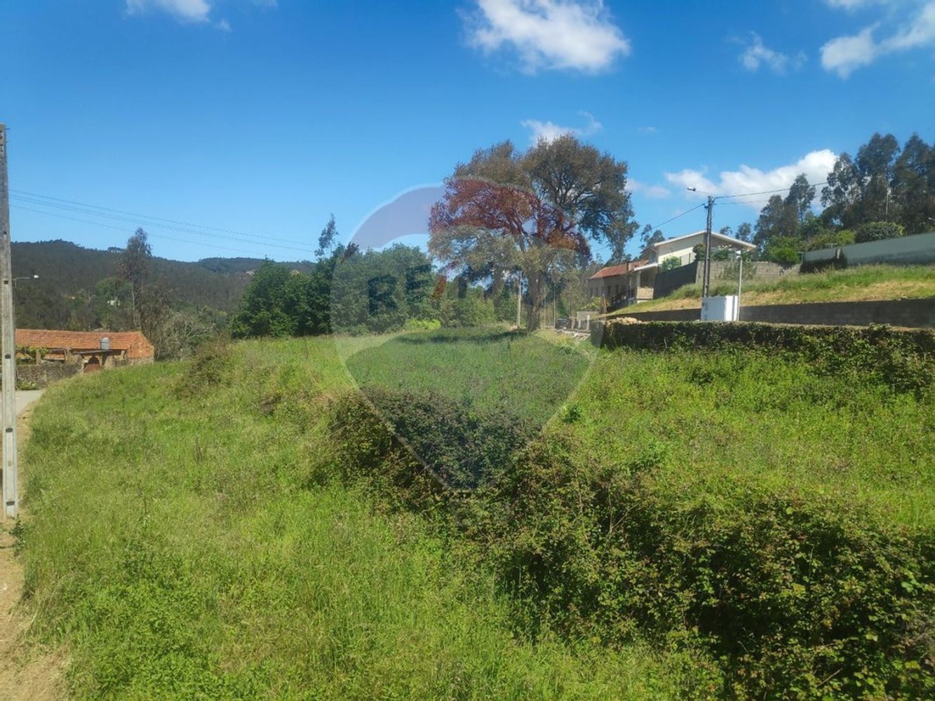 Terreno em Ribeira de Fráguas, Portugal 1450 m² N.º 74508